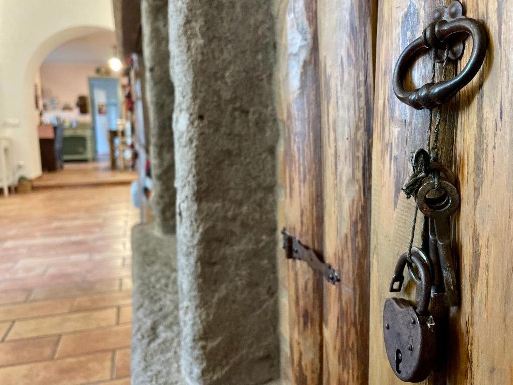 Il Sartore Vetralla Luaran gambar