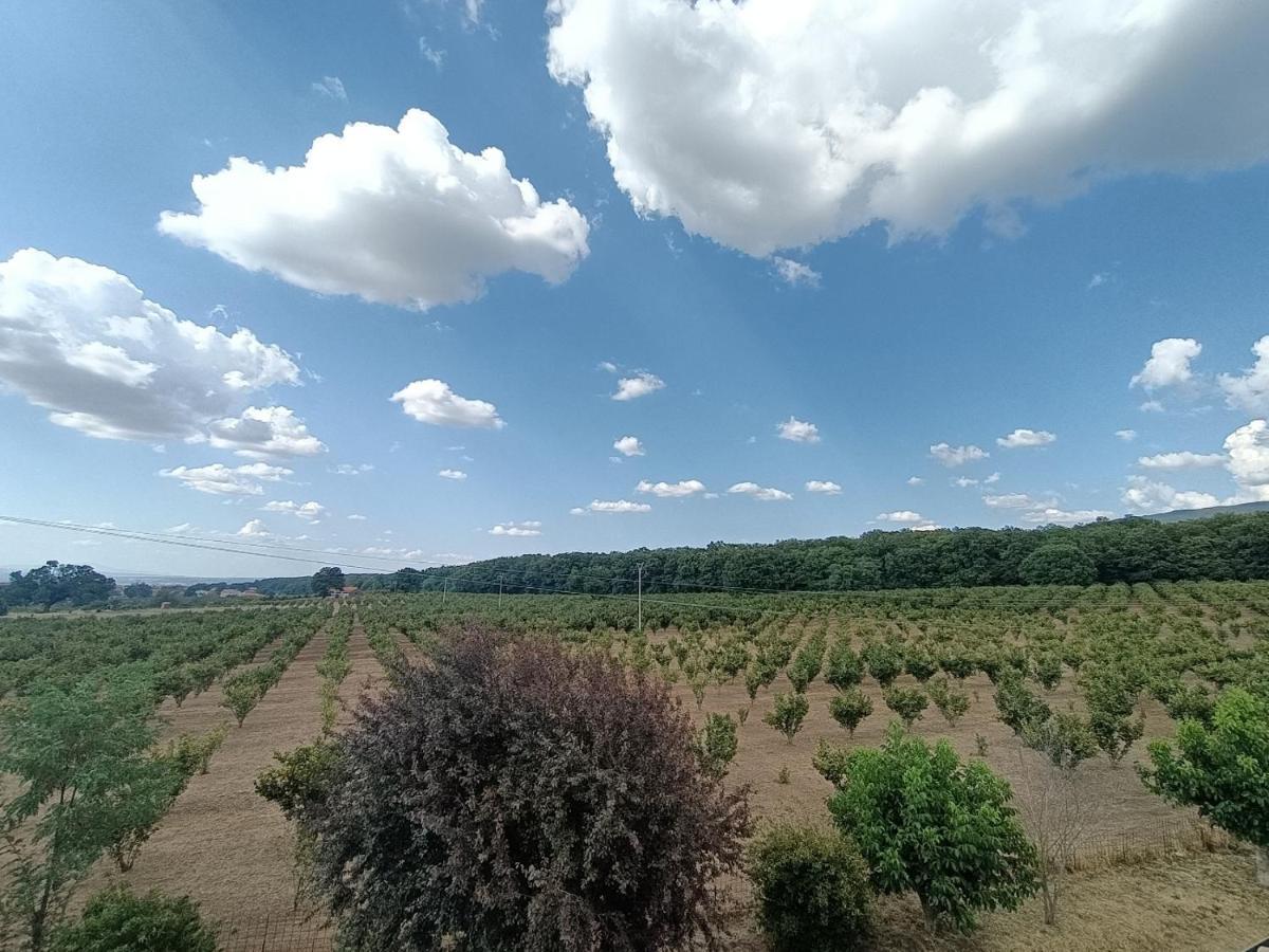 Il Sartore Vetralla Luaran gambar